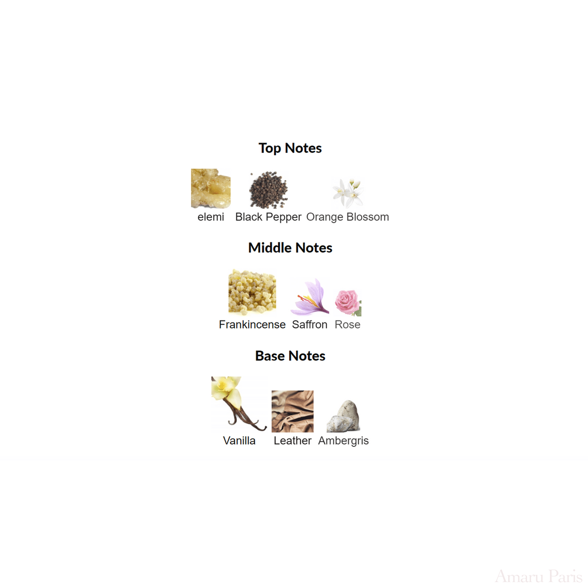Eau de Audacity Penhaligon's for women and men Decant Samples - ParfumAmaruParis