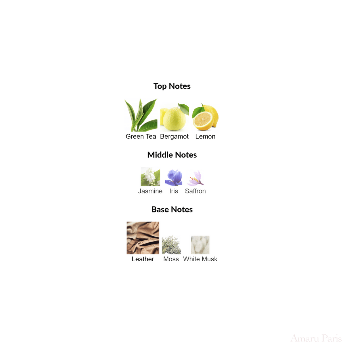Eau de Memo Memo Paris for women and men Decant Samples - ParfumAmaruParis