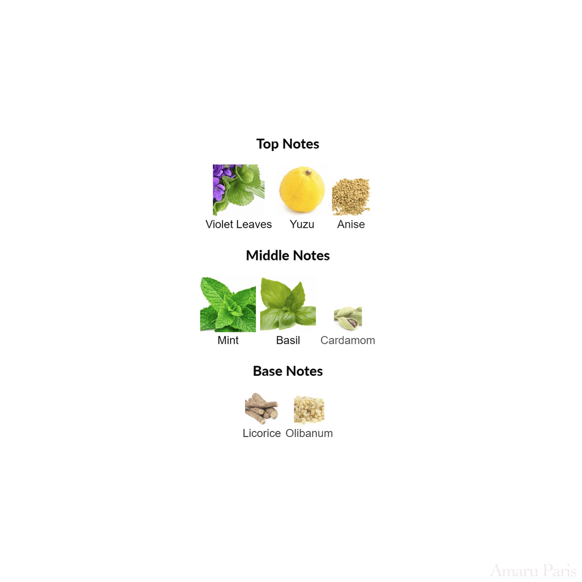 EGE / ΑΙΓΑΙΟ Nishane – échantillon et décant de parfum, vue 4