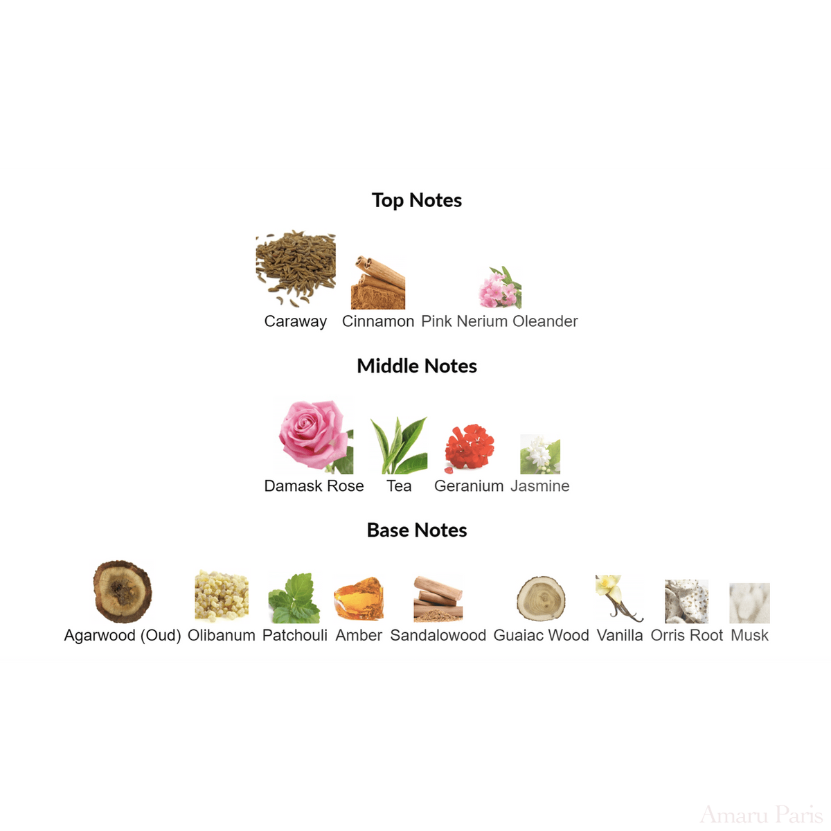 Epic Woman Amouage for women Decant Samples - ParfumAmaruParis