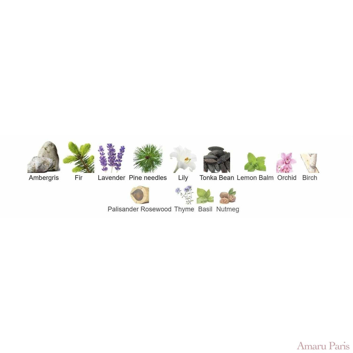 L'Air Des Alpes Suisses Tauer Perfumes for women and men - ParfumAmaruParis