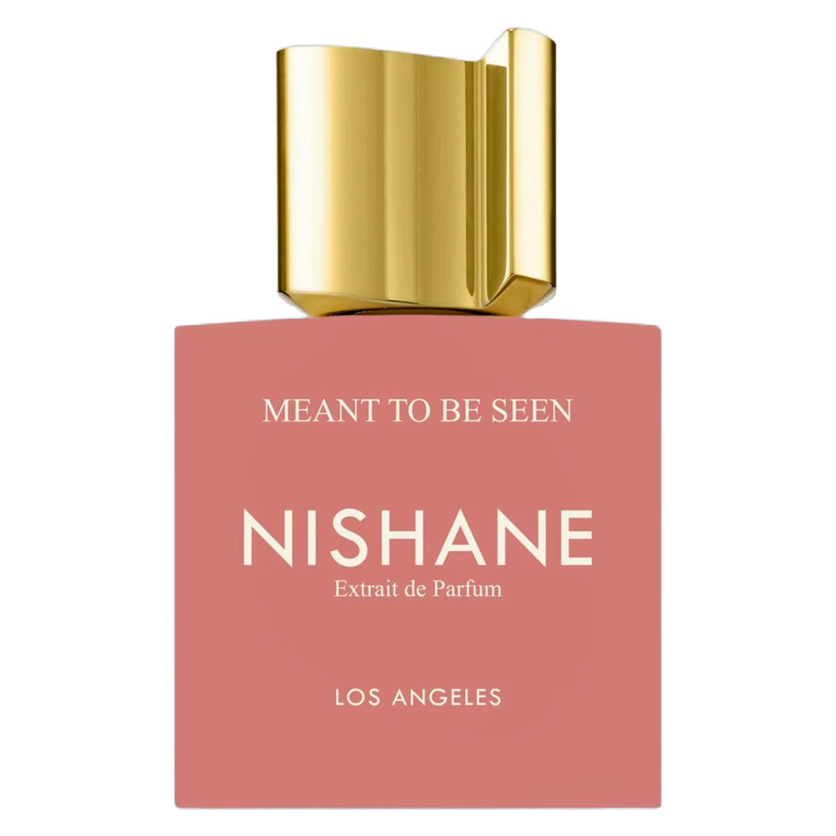 Parfum Meant To Be Seen Nishane unisexe - ParfumAmaruParis