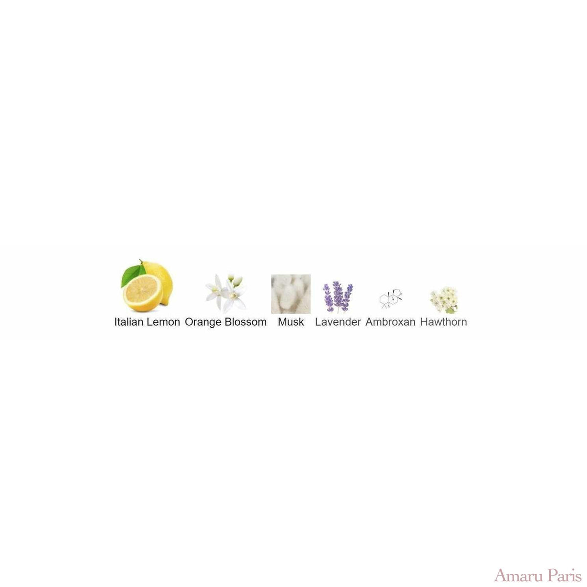 Petit Matin Maison Francis Kurkdjian for women and men - ParfumAmaruParis