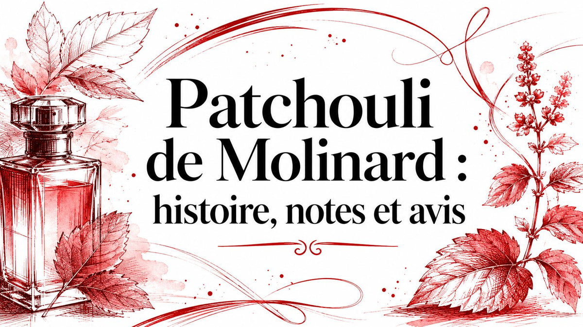 Patchouli de Molinard : histoire, notes et avis - AmaruParis