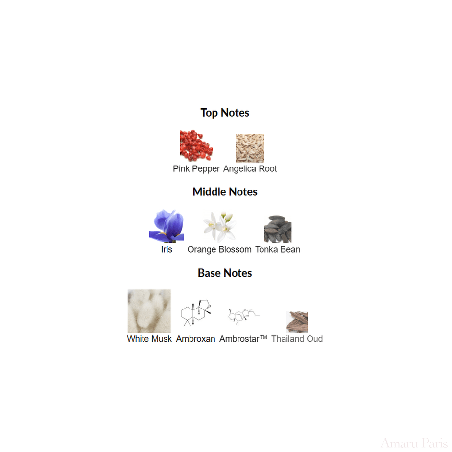 312 Saint - Honoré BDK Parfums for women and men - ParfumAmaruParis