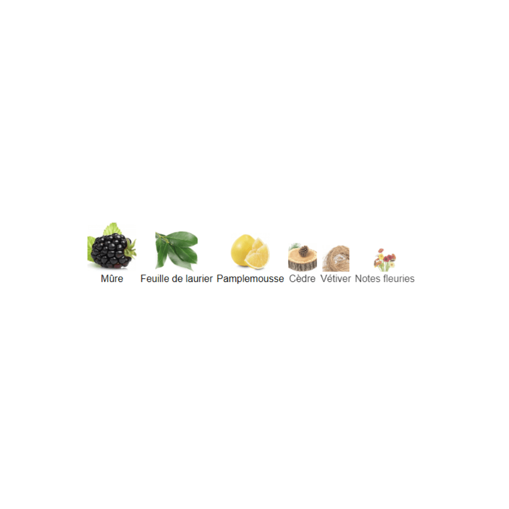 Blackberry & Bay Jo Malone London pour femme - ParfumAmaruParis