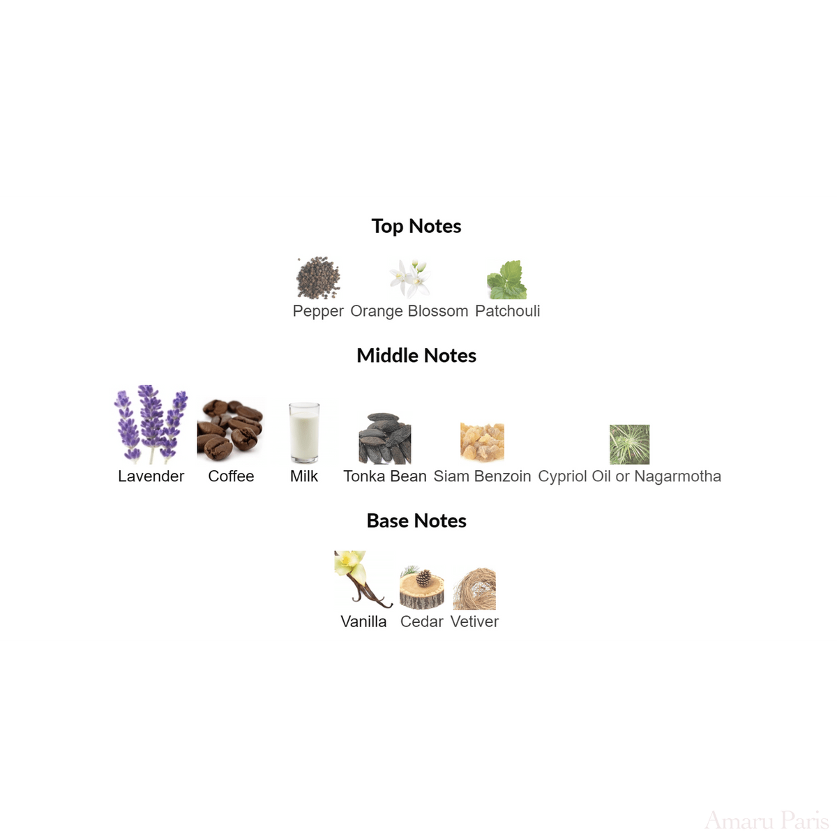 Coffee Break Maison Martin Margiela for women and men Decant Samples - ParfumAmaruParis
