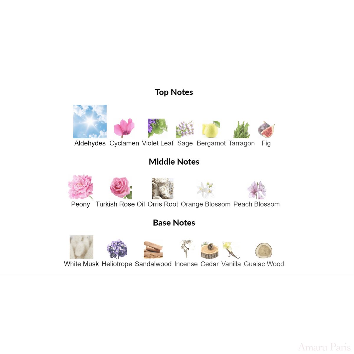 Dia Woman Amouage for women Decant Samples - ParfumAmaruParis