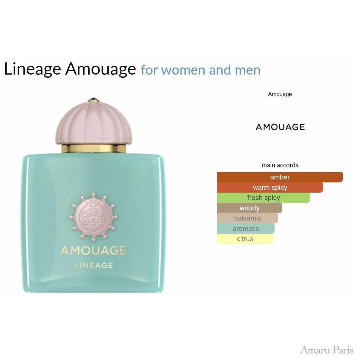 Lineage Amouage for women and men - ParfumAmaruParis