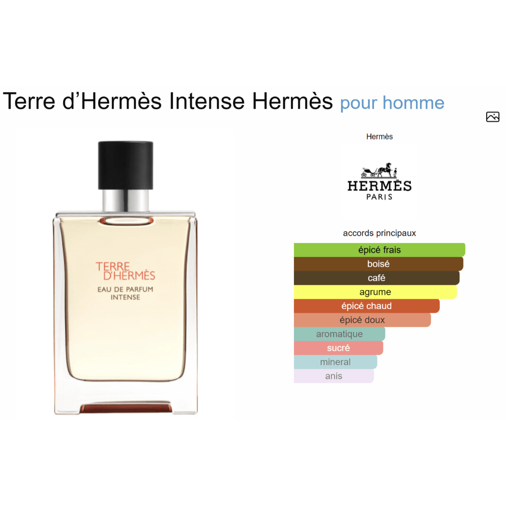 Parfum Terre d’Hermès Intense Hermès pour homme - ParfumAmaruParis