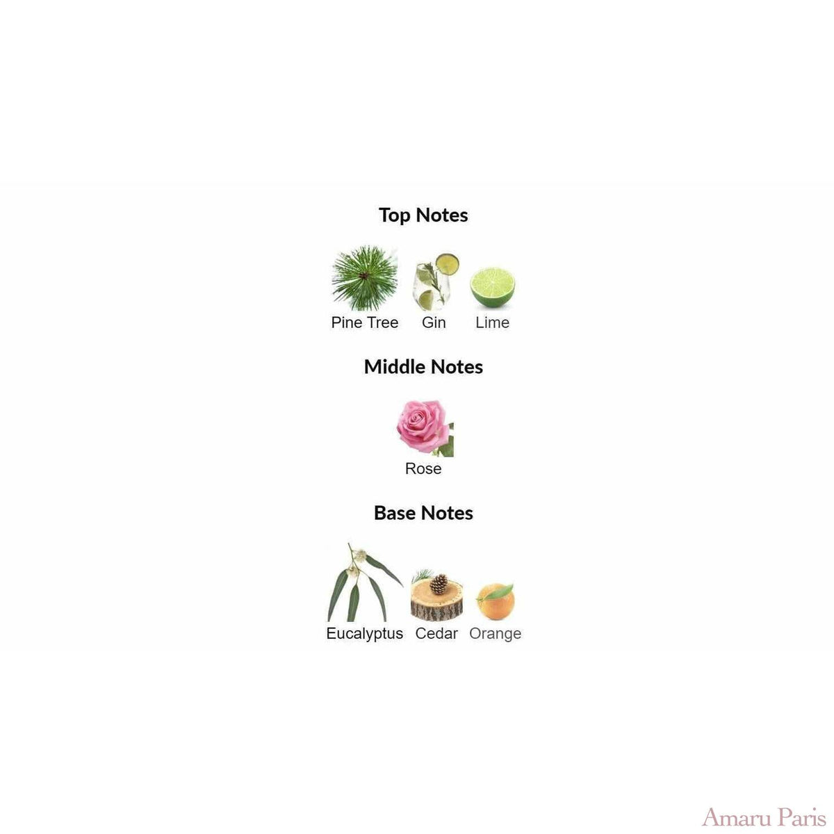 Royal Mayfair Creed for women and men - ParfumAmaruParis